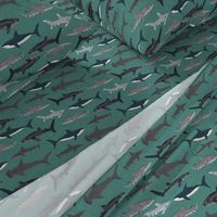 shark // sharks men boys boy green shark week ocean creature sea ocean nautical sharks