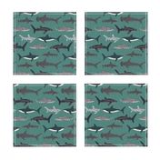 shark // sharks men boys boy green shark week ocean creature sea ocean nautical sharks