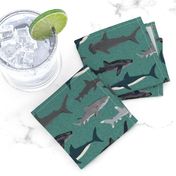 shark // sharks men boys boy green shark week ocean creature sea ocean nautical sharks