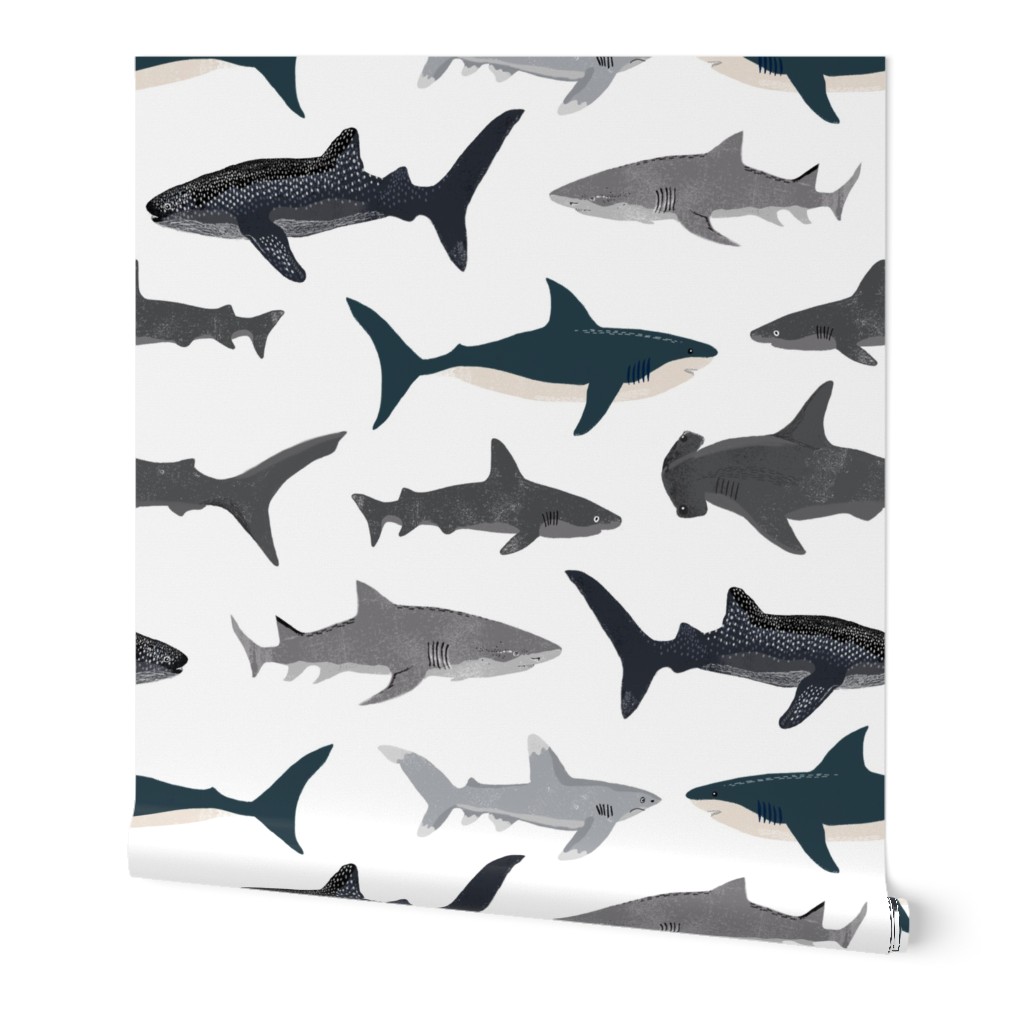 shark // sharks nautical boys white background kids ocean sea tiger shark hammerhead shark fabric