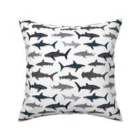 shark // sharks nautical boys white background kids ocean sea tiger shark hammerhead shark fabric