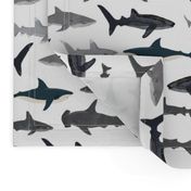shark // sharks nautical boys white background kids ocean sea tiger shark hammerhead shark fabric