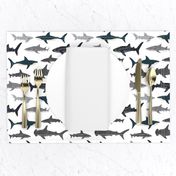 shark // sharks nautical boys white background kids ocean sea tiger shark hammerhead shark fabric