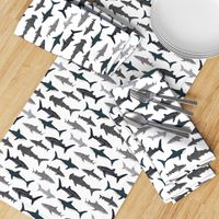 shark // sharks nautical boys white background kids ocean sea tiger shark hammerhead shark fabric