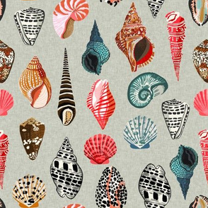 seashells // shells summer beach linen 