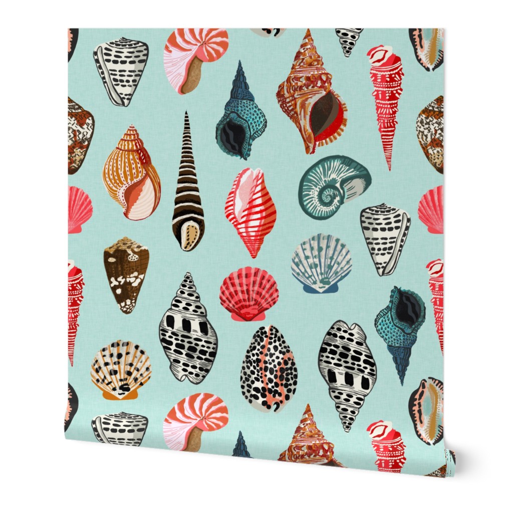 seashells // shell shells beach summer mint ocean water sea nautical shell 