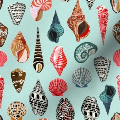 seashells // shell shells beach summer mint ocean water sea nautical shell 