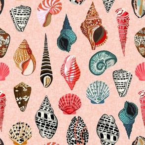 shells // seashell shell pastel pink blush linen beach ocean summer nautical