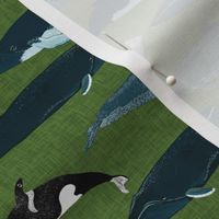 whales //  green whale cetacean orca whale blue whale pod beluga narwhal summer ocean nautical