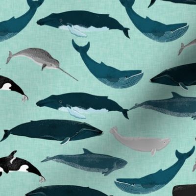 whales // whale ocean nautical mint summer creature nautical