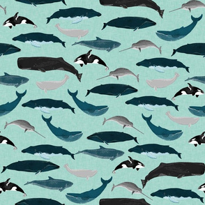 whales // whale ocean nautical mint summer creature nautical