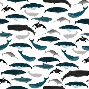 whales // whale ocean 