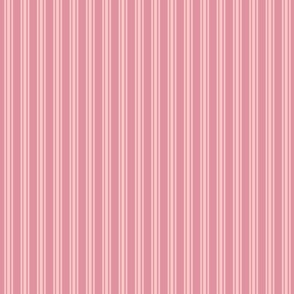 Pink_Stripe