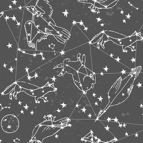 constellations // dark grey charcoal grey kids stars night sky