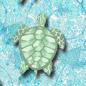 turtle ivy