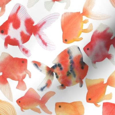 Watercolor Goldfish