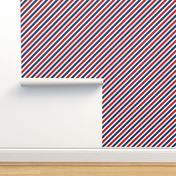 1" American Stripes // Diagonal