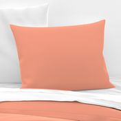 Salmon Pink Plain