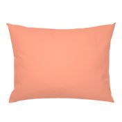 Salmon Pink Plain