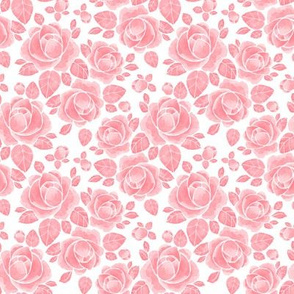 Pink roses 61