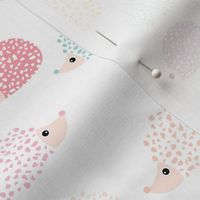 Scandinavian sweet hedgehog illustration for kids colorful spring