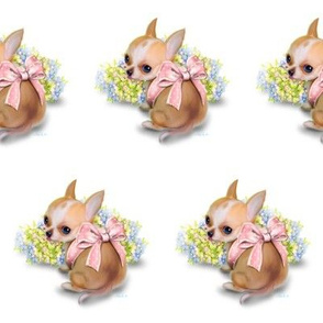 Chihuahua Baby White Medium Pattern