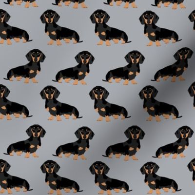 doxie dachshund wiener dog pet dog pets grey sweet dogs pillow