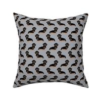 doxie dachshund wiener dog pet dog pets grey sweet dogs pillow