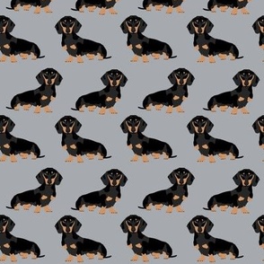 doxie dachshund wiener dog pet dog pets grey sweet dogs pillow