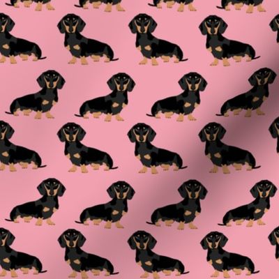 dachshund doxie winer dog pink cute dog dogs fabric sweet dog puppy