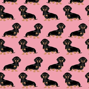 dachshund doxie winer dog pink cute dog dogs fabric sweet dog puppy