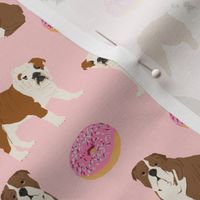 english bulldog bulldogs pet dogs dog donuts doughnuts 