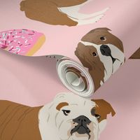 english bulldog bulldogs pet dogs dog donuts doughnuts 