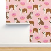 english bulldog bulldogs pet dogs dog donuts doughnuts 