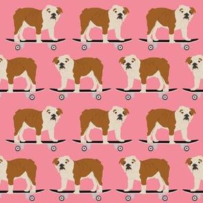 english bulldog skateboard pink girls sweet pet pet dog dogs funny english bulldog