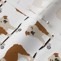 english bulldog skateboard kids funny white nursery boys baby kids dog pet dog dogs skateboards