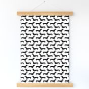 doxie dachshund wiener dog sausage dog black and white dog silhouette cute dog dogs pet 