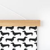 doxie dachshund wiener dog sausage dog black and white dog silhouette cute dog dogs pet 