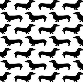 doxie dachshund wiener dog sausage dog black and white dog silhouette cute dog dogs pet 