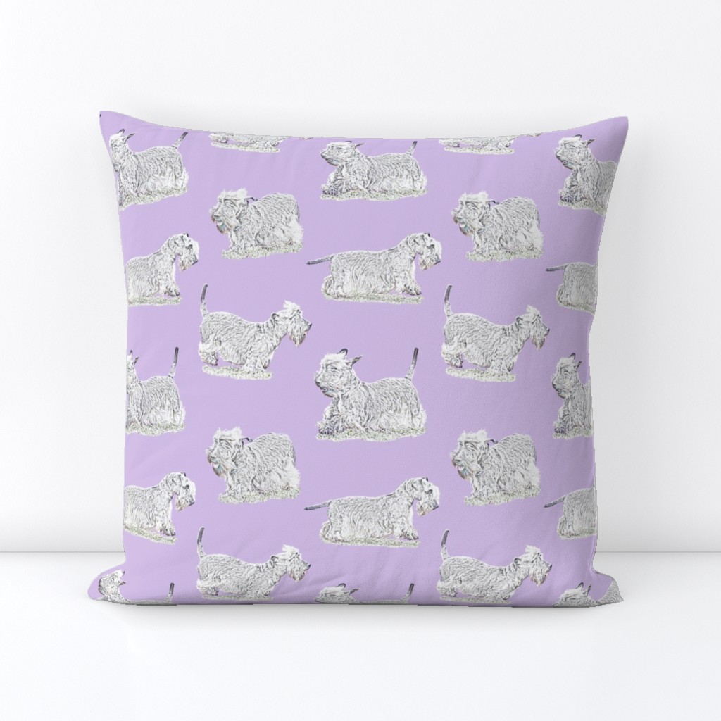 Frolicking Cesky Terrier - purple