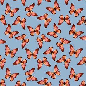 Orange and Pink Butterfly Blue Background