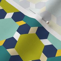 05134096 : hexagon2to1 : trendy2