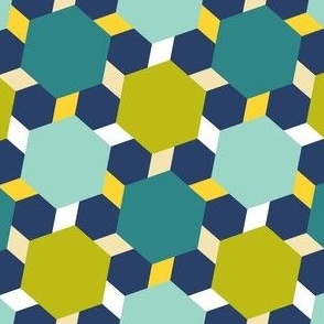 05134096 : hexagon2to1 : trendy2