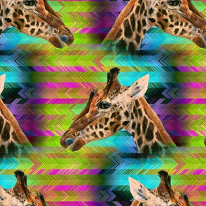 GIRAFFE ON MULTICOLOR PSYCHEDELIC CHEVRONS ALTERNATES