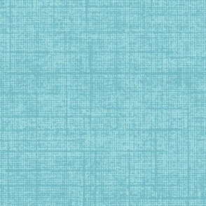 linen tweed texture - pool aqua