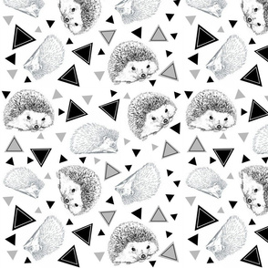 Hedgehogs with triangles