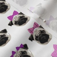 Pretty Pug Girls - Small Scale (Client Requested)