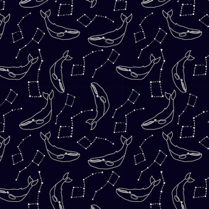 Night whale design
