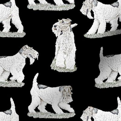 Playful Wire Fox Terrier - black