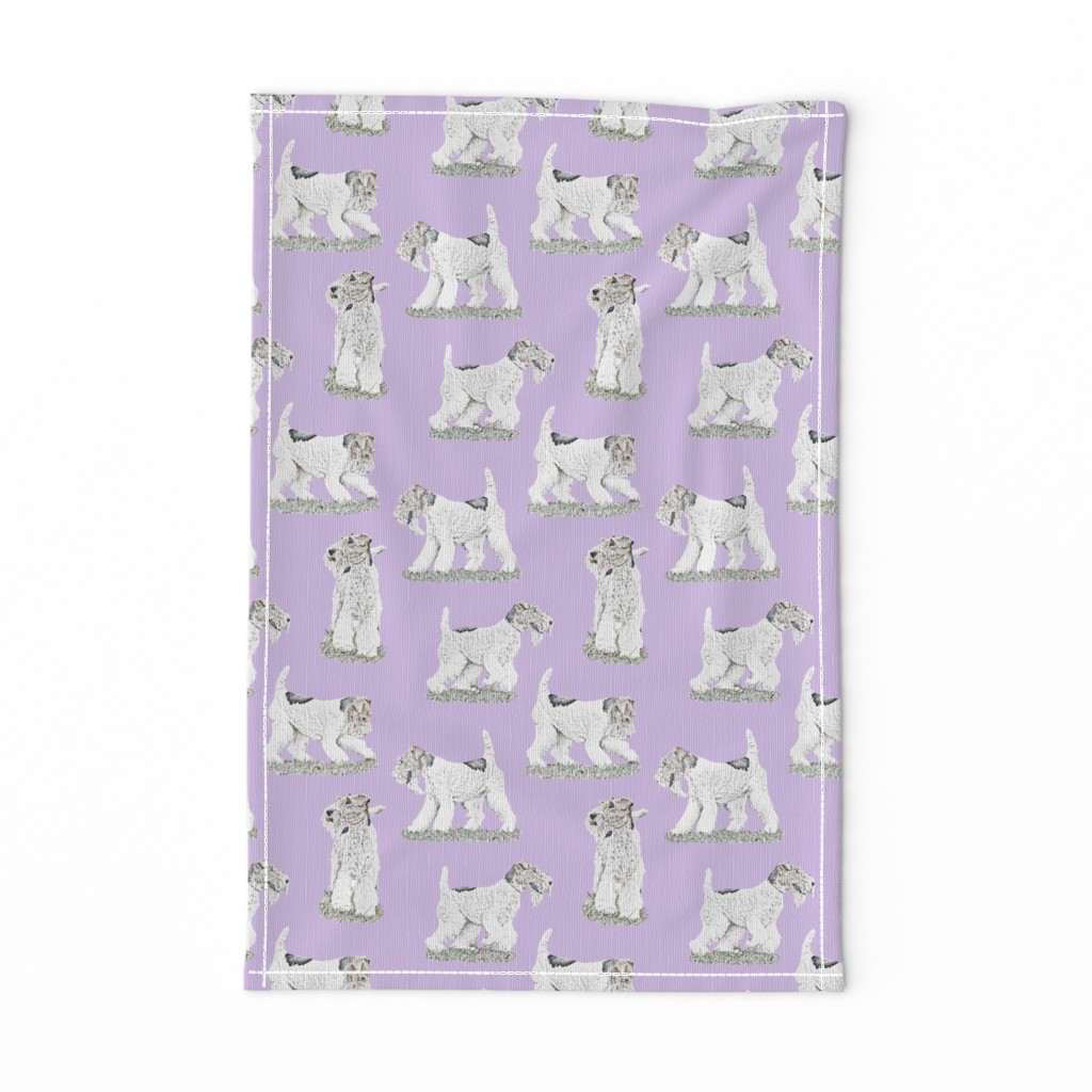 Playful Wire Fox Terrier - purple